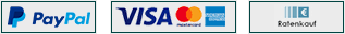 PayPal, Visa, Mastercard, American Express, Ratenkauf